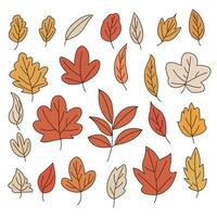 mano disegnato colorato autunno le foglie collezione impostare. semplice cartone animato piatto stile. vettore illustrazione.