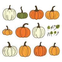 zucca di vario forme e colori. ringraziamento e Halloween elementi. vettore