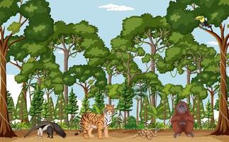 scena della foresta con diversi animali selvatici vettore