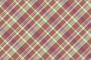 tartan struttura tessile di tessuto sfondo dai un'occhiata con un' modello plaid senza soluzione di continuità vettore. vettore