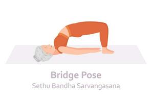 ponte yoga posa. sethu bandha sarvangasana. anziano donna praticante yoga asana. salutare stile di vita. piatto cartone animato carattere. vettore illustrazione