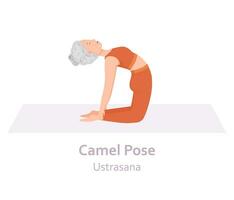 cammello yoga posa. ustrasana. anziano donna praticante yoga asana. salutare stile di vita. piatto cartone animato carattere. vettore illustrazione