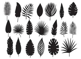grande impostato palma le foglie modello impostato nero e bianca vettore illustrazione diverso palma le foglie nero silhouette