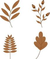 biologico autunno foglia icona. vettore illustrazione