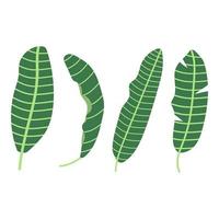 foglie di banana disegnate a mano, concetto tropicale. illustrazione piatta. vettore