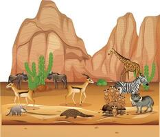 gruppo di selvaggio africano animali nel il deserto vettore