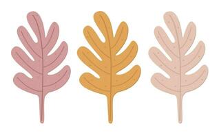 tre autunno foglie, autunno fogliame, colore vettore illustrazione impostato nel boho stile