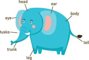 illustrazione del vocabolario dell'elefante parte di body.vector vettore