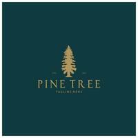 semplice pino o abete albero logo,sempreverde.per pino foresta, avventurieri, campeggio, natura, distintivi e affari.vettore vettore