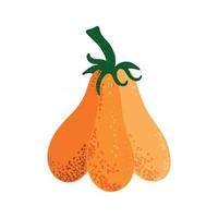 zucca per il giorno del ringraziamento e halloween design.raccolta autunnale. verdure autunnali biologiche. illustrazione vettoriale piatta