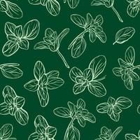 foglie di basilico ed erbe seamless pattern vettore