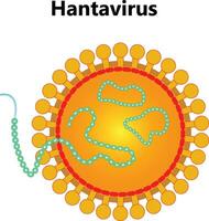 hantavirus con il protettivo medico maschera. hantavirus emergenza concetto. hantavirus, hp virus infezione polmonare sindrome hps. il scoppio continua per diffusione al di fuori Cina. Cinese bandiera vettore