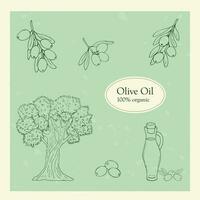 disegnato a mano schema oliva illustrazione, isolato su un' verde sfondo. oliva olio, oliva albero, e oliva ramo vettore illustrazione.