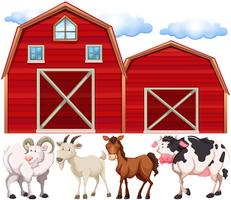 Animali da fattoria e fattorie vettore