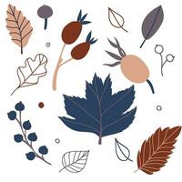 impostato di piatto isolato illustrazione di le foglie e frutti di bosco nel accogliente autunno colori. mano disegnato vettore arredamento per scrapbooking, tessile o libro copertine, sfondi, grafico arte, stampa, passatempo, invito