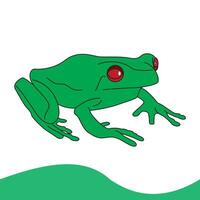 carino verde rana cartone animato personaggio isolato su bianca sfondo.verde rana cartone animato personaggio isolato su bianca sfondo vettore