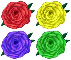 Quattro rose colorate vettore