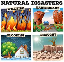 Diversi tipi di disastri naturali vettore