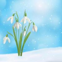 illustrazione vettoriale di composizione di fiori di goccia di neve