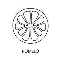 pomelo linea icona nel vettore, agrume frutta illustrazione vettore