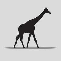 giraffa animale vettori