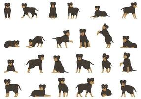 rottweiler icone impostato cartone animato vettore. animale cane vettore