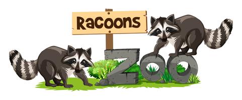 Racoons al segno dello zoo vettore