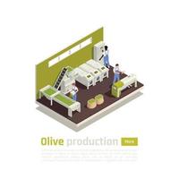 illustrazione vettoriale di composizione isometrica di produzione di olive