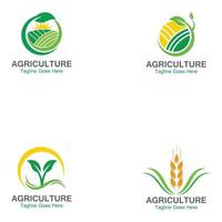 agricoltura frumento logo modello icona design vettore