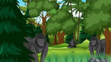 gruppo di gorilla nella scena della foresta o della foresta pluviale con molti alberi vettore