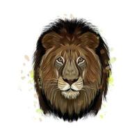ritratto di testa di leone da una spruzzata di acquerello, disegno colorato, realistico. illustrazione vettoriale di vernici
