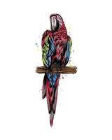 pappagallo ara da una spruzzata di acquerello, disegno colorato, realistico. illustrazione vettoriale di vernici