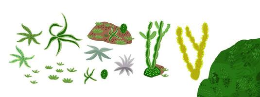 paesaggio vettore design elementi impostato isolato su sabbioso toni sfondo. boho deserto clipart con cactus, cespugli, succulente.