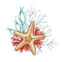 mano disegnato marino composizione con giallo stella marina, coralli, acquerello vettore