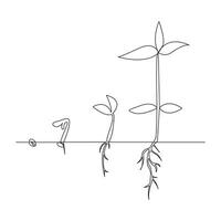singolo linea pianta crescita in lavorazione a partire dal seme illustrazione vettore
