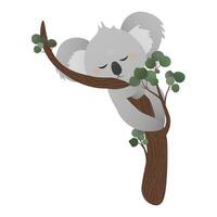 carino koala orso addormentato su eucalipto albero mentre abbracciare albero, etichetta per bambini, infantile animale personaggio vettore