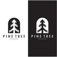 semplice pino o abete albero logo,sempreverde.per pino foresta, avventurieri, campeggio, natura, distintivi e affari.vettore vettore