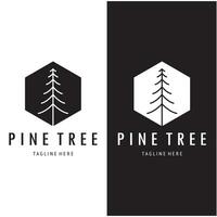 semplice pino o abete albero logo,sempreverde.per pino foresta, avventurieri, campeggio, natura, distintivi e affari.vettore vettore