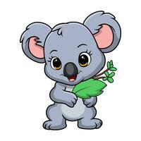carino poco koala cartone animato Tenere le foglie vettore