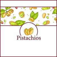 pistacchio telaio linea menù manifesto. vettore illustrazione nel mano disegno stile. salutare cibo ingrediente modello per vegetariano dieta. retrò autunno decorazione con foglie, noccioline, rami bandiera