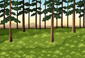 Scena di sfondo con alberi nella foresta vettore