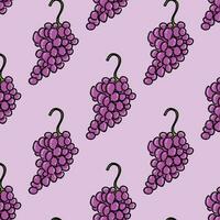 mazzo di viola uva modello piastrella. uva Prodotto, vettore illustrazione isolato su viola sfondo.