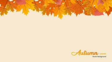 vettore sfondo con rosso, arancia, Marrone e giallo caduta autunno le foglie
