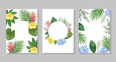 impostato di tropicale fiore composizioni, sfondi, cornici, cartoline. vettore botanico illustrazione per opuscolo, invito o volantino.