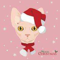 Natale saluto carta. sphynx gatto indossare un' sciarpa e un' rosso Babbo Natale cappello vettore