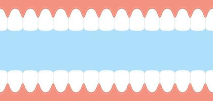 denti e gengive. bocca aperta vista interna. bandiera dentale. vettore
