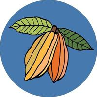 baccello di cacao disegno a mano libera su sfondo colorato. vettore