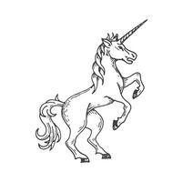 unicorno medievale araldico animale schizzo simbolo vettore