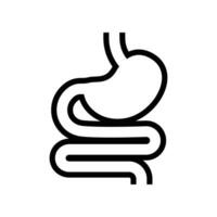 digestivo sistema, umano stomaco e gastrointestinale sistema infografica. vitale organo. stomaco, gastrico e colon tratto come interno organo. vettore illustrazione design.