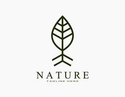 semplice elegante ecologia naturale logo. singolo foglia icona con nero. adatto vettore illustrazione per botanico, giardino, agricoltura.